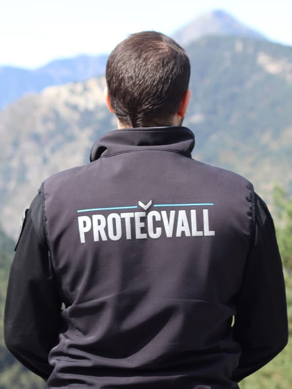 Serveis de vigilància